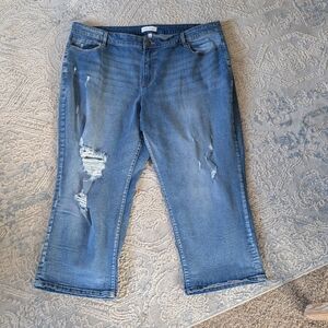 Sz22 Lane Bryant Straight Leg Ankle Jeans Distressed